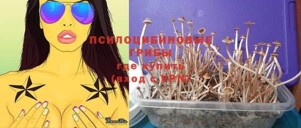 дурь Абдулино