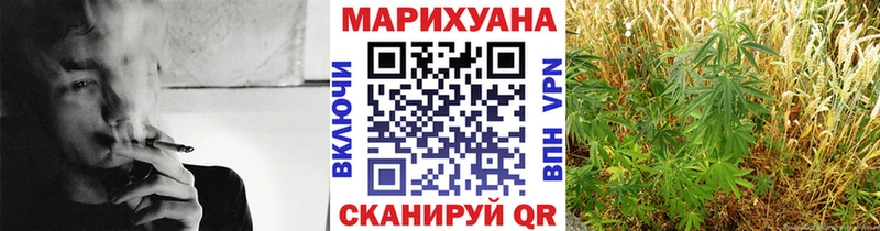 это телеграм  Мурино  Конопля THC 21%  купить  цена 